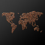 Coffee Industry in 2025