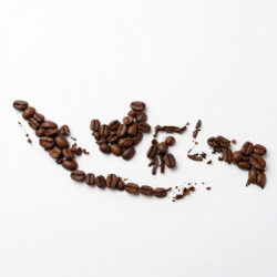 indonesian coffee
