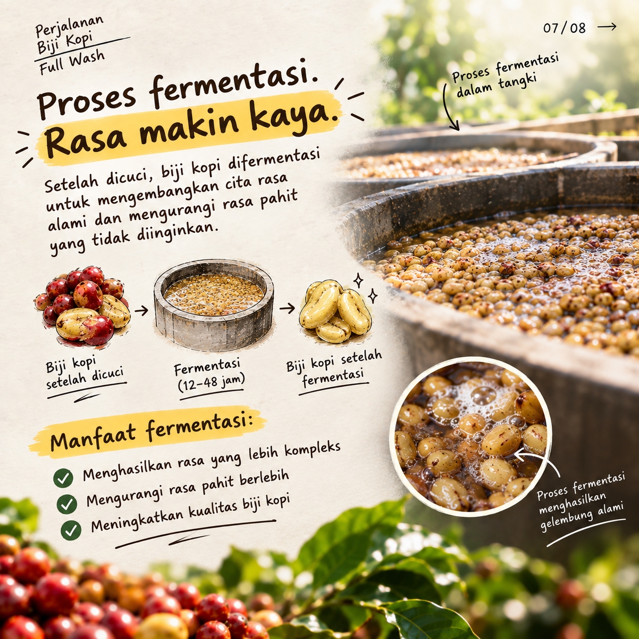 Biji Kopi Metode Full Wash 07