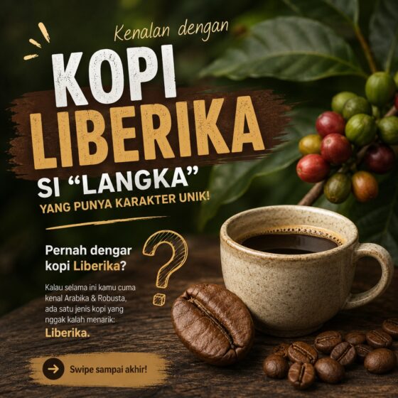 Kopi Liberika 01