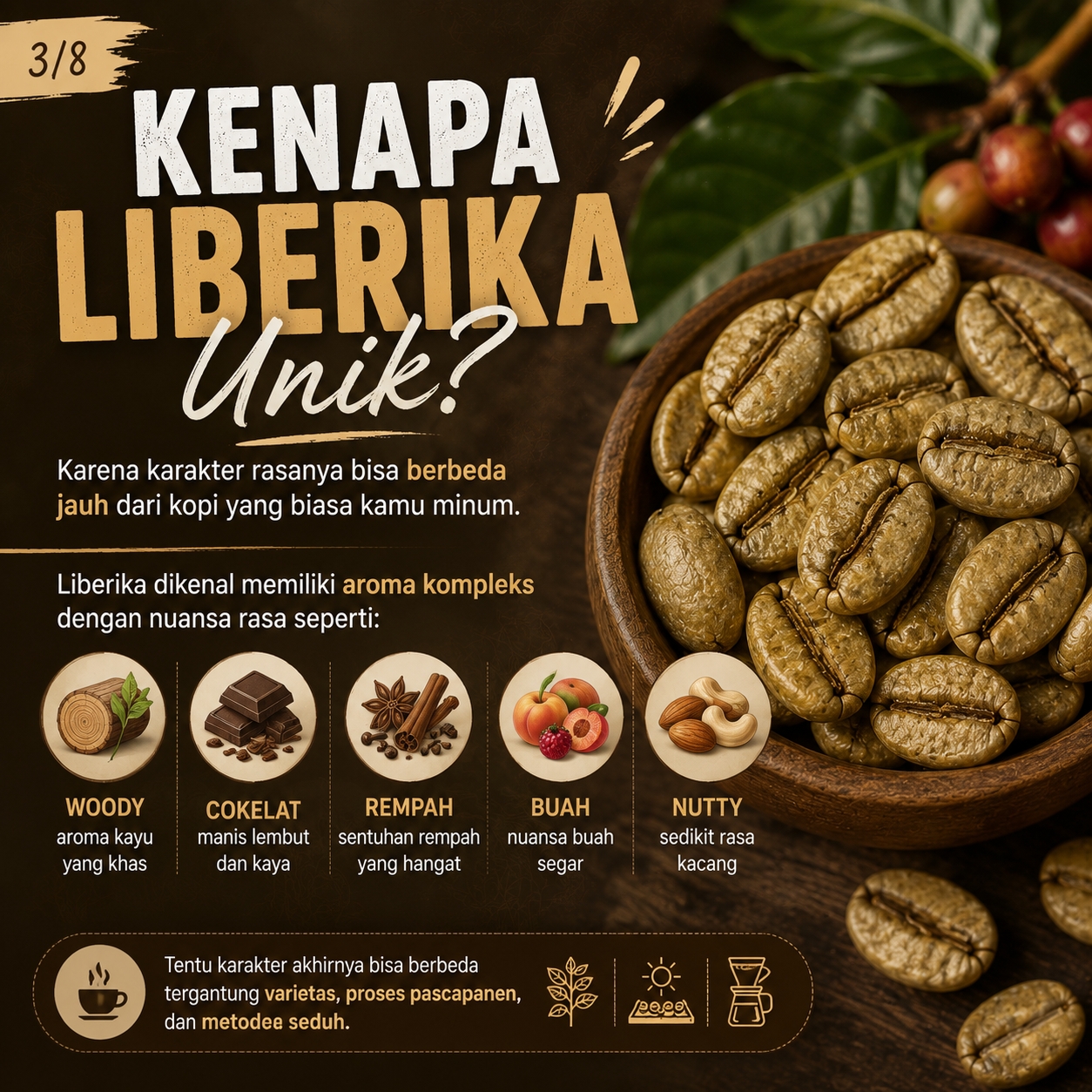 Kopi Liberika 03