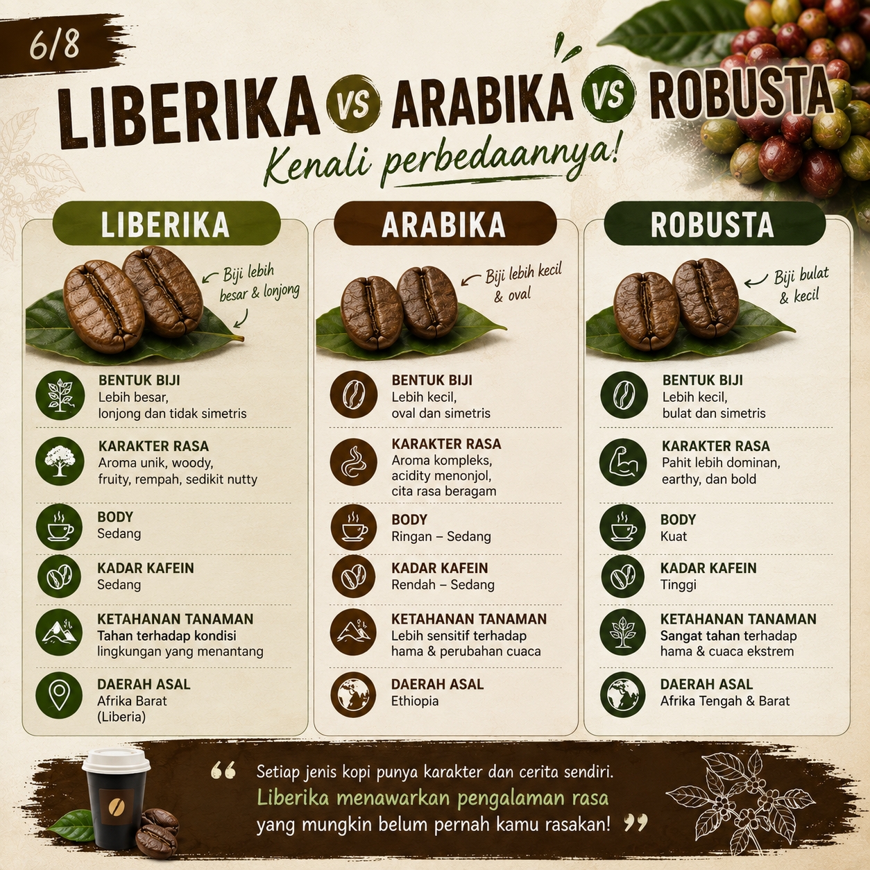 Kopi Liberika 06