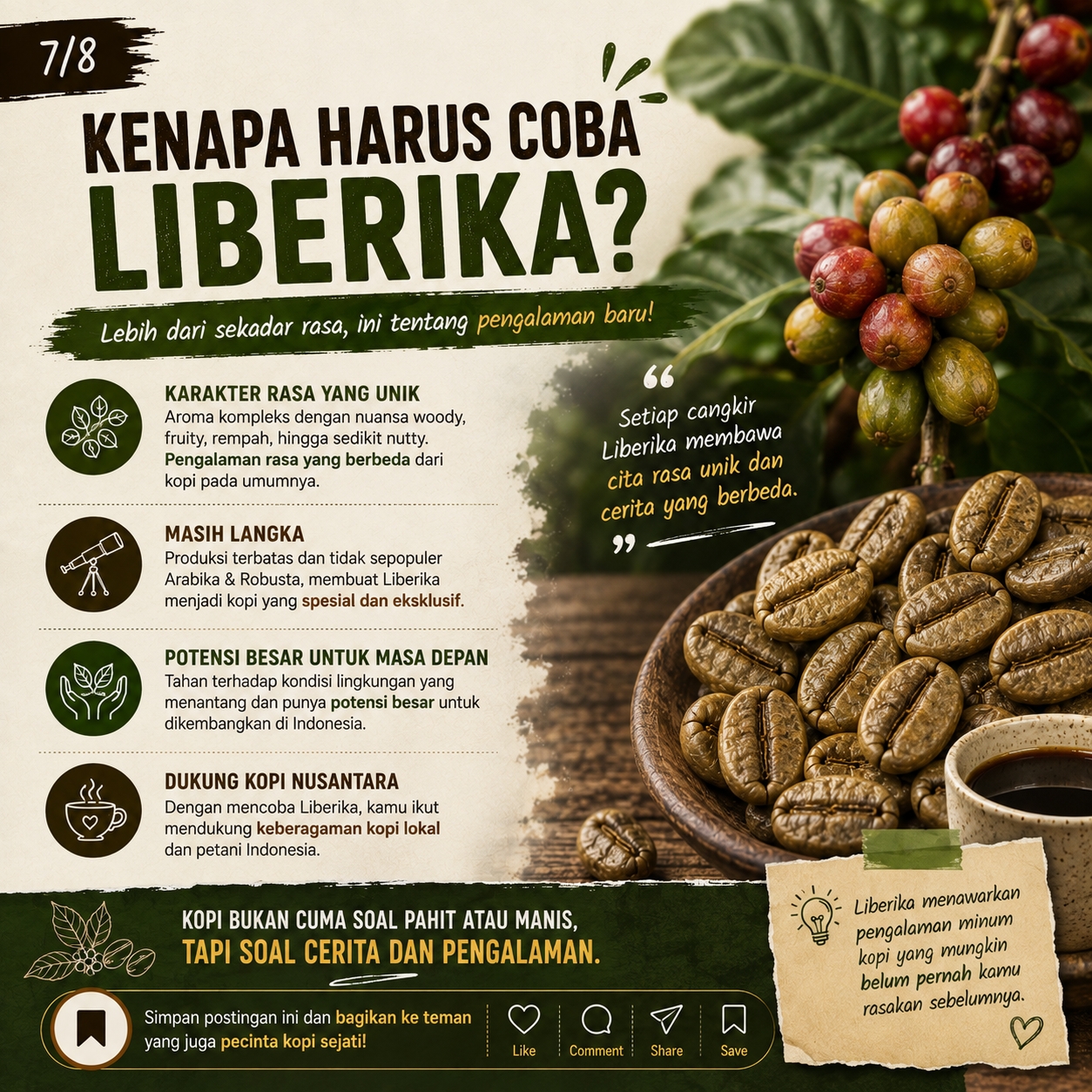 Kopi Liberika 07