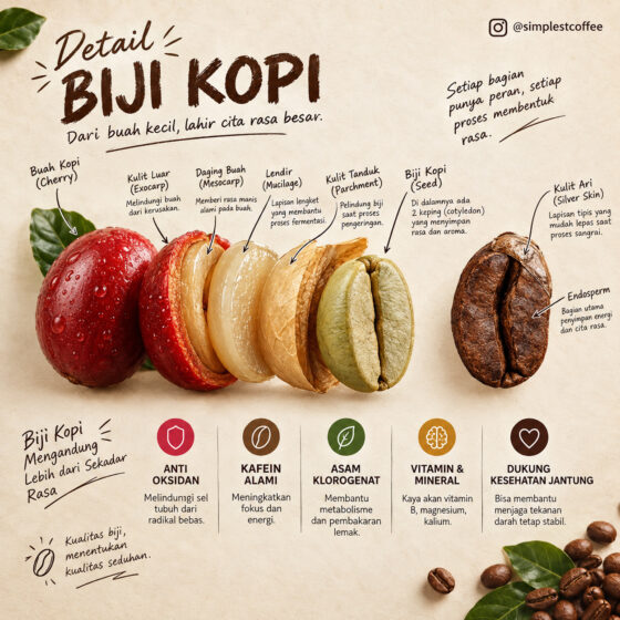 Anatomi-Biji-Kopi